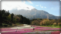★「武甲山」の雄姿★ 2015/04/17 11:10:10