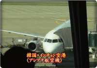 ソラク山その５✿無事帰国で一安心 2015/06/02 15:50:20