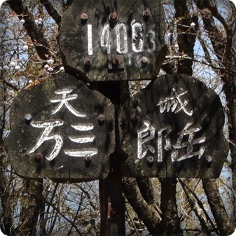 天城山足慣らし✿