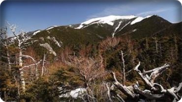 女優・春馬ゆかりさん✿岩の殿堂の金峰山に挑む
