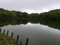 八丁池足慣らし✿ 2015/05/10 23:03:54