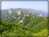 ✿今年の夏山登山✿ 2015/11/05 23:47:47