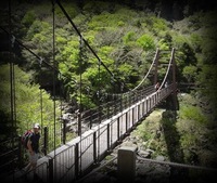 韓国ハルラ山映像 ✿ ビデオ映像 2014/07/11 17:48:32
