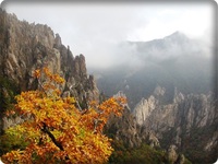 韓国雪岳山道中記 ★ 渓谷＆紅葉満喫 2014/10/04 17:01:11