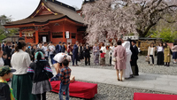 富士山本宮浅間大社の結婚式 2020/03/28 09:49:19