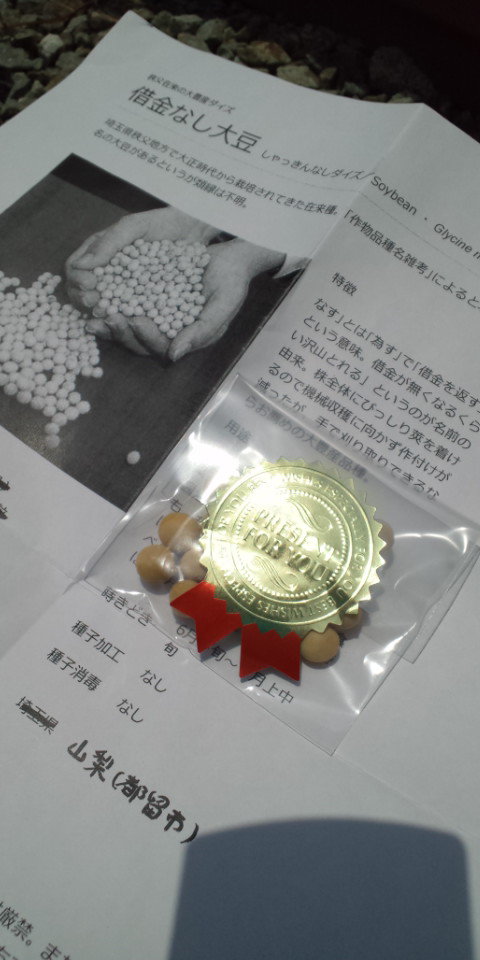 借金なし大豆