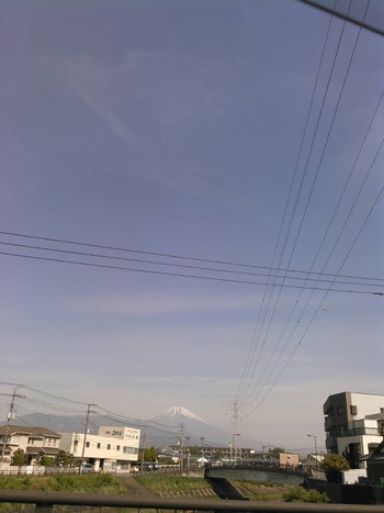 4月25日のクモ