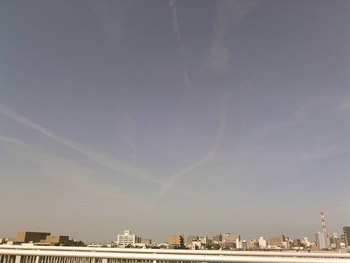4月25日のクモ