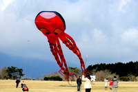 朝霧アリーナ孫ちゃん初凧揚げ