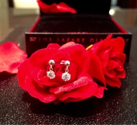【生活に輝きを】　THE LAZARE DIAMOND　