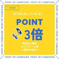ポイント3倍 2024/06/29 22:17:27