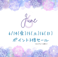 ポイントセール 2024/06/13 16:04:00