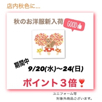 秋のポイントセール！ 2023/09/19 11:23:54