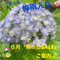 雨の日SALE 2023/05/31 11:40:24