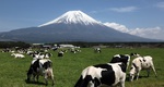 google rss api test