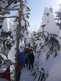 北横岳で雪山ハイク