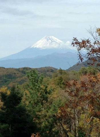 修善寺自然公園へ紅葉観てきました