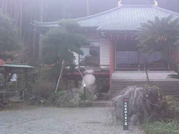 北條寺のロウバイがきれいです