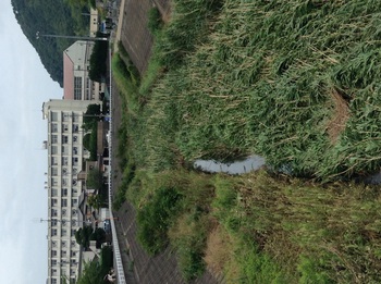 反射炉の下流・古川増水