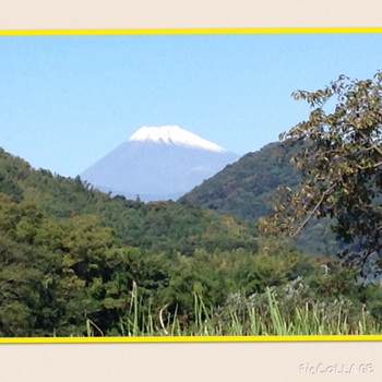 今日の富士山