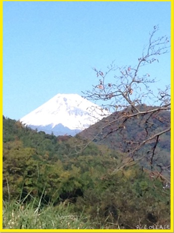 今日の富士山