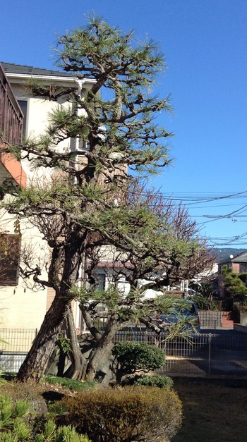 お正月前の器用貧乏さん