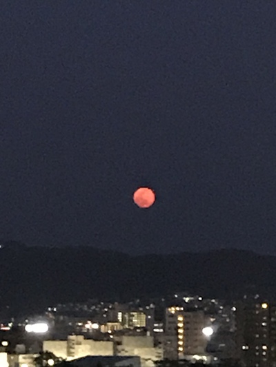 2020年４月8日満月