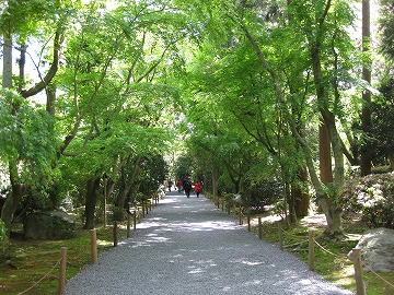 寒い春の京都