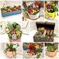寄せ植えのご紹介♪
