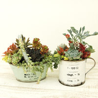 寄せ植えのオーダーをいただきました♪
