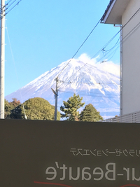 月末に空きもございます。 2019/01/21 14:24:58
