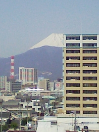 2008年03月25日