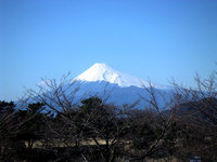 2008年04月13日