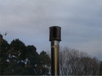 今年初めて