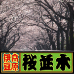 伊豆高原
桜並木ホームページ