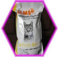 我が家のデブ猫のために