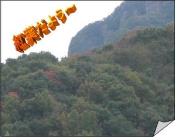 紅葉かな？