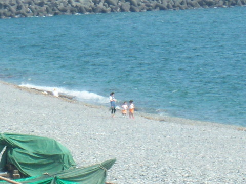 海