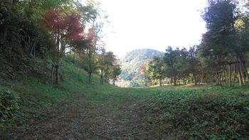 伊豆の国ブログ村