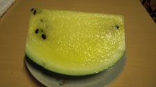 自家製