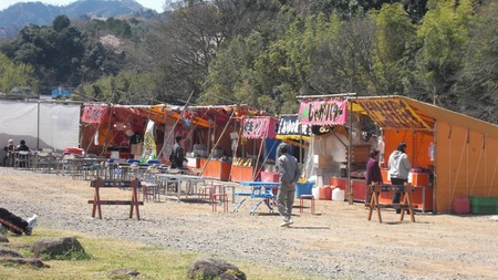 狩野川桜公園も満開