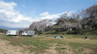 狩野川桜公園も満開
