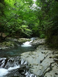 写真村３(風景編）
