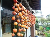ネズミ年だから？