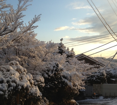熱海も雪！