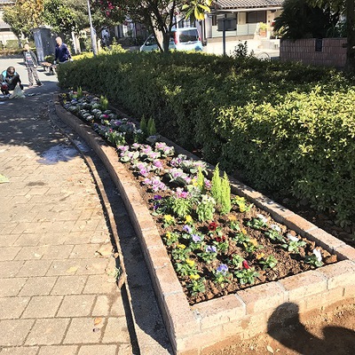 青葉町公園の花壇が完成しました!!