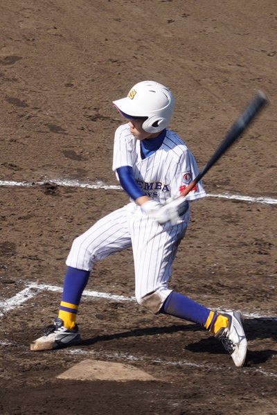 日本少年野球連盟　静岡県支部　一年生大会　愛鷹球場