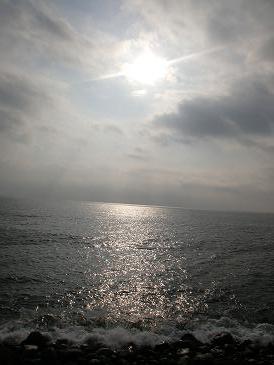 今日の海