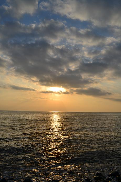 今日の海