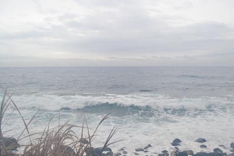今日の海
